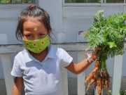 Capacitación Elaboración de Huertos Urbanos: Alumnas y alumnos, recogen su cosecha