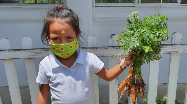 Capacitación Elaboración de Huertos Urbanos: Alumnas y alumnos, recogen su cosecha