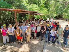 Curso de Verano para Adultos de 60 Años y Más